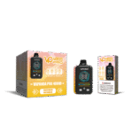 Vapanda Pro 40K Puffs E-Zigaretten