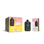 Vapanda Pro 40K Puffs E-Zigaretten