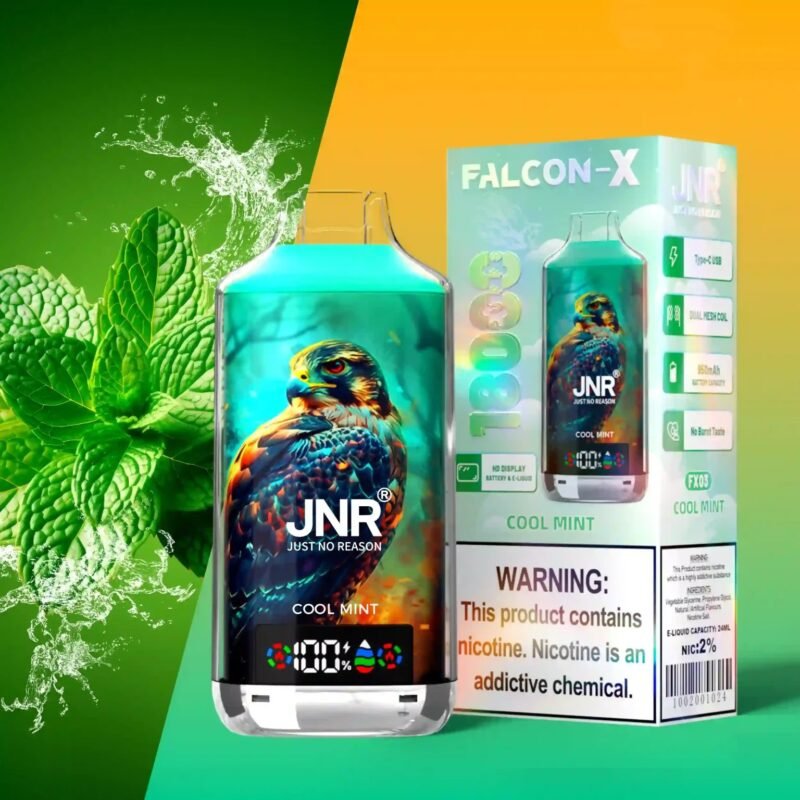 JNR Falcon X 18K Puff Vape Kühle Minze 2% Nikotinstärke
