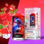 JNR Falcon X 18K Puff Vape Erdbeer-Wassermelone-Eis 2% Nikotinstärke